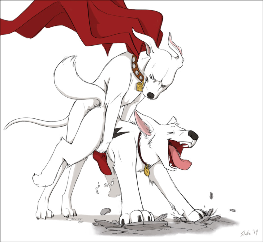 superdog and andrea the kevin krypto Asuka (senran kagura)